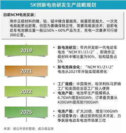 5月新能源乘用车市场增速放缓，投资管理面临新考量